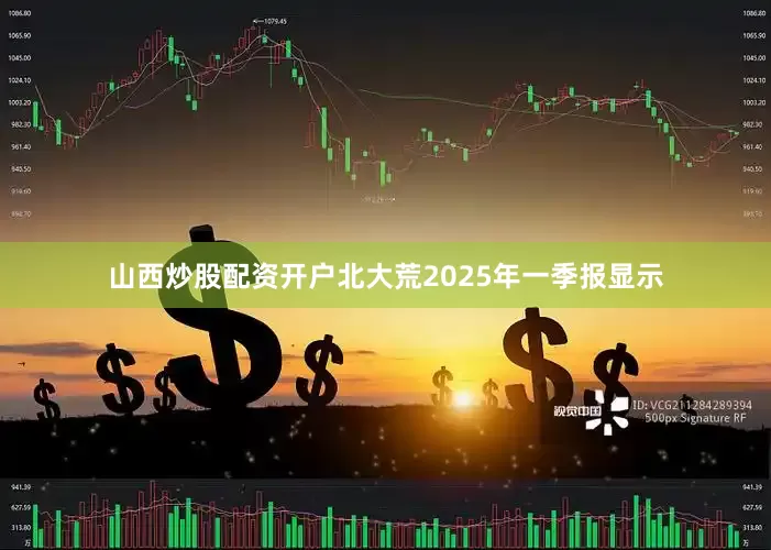 山西炒股配资开户北大荒2025年一季报显示