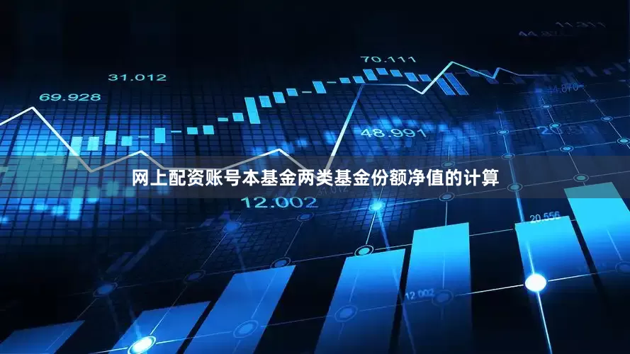 网上配资账号本基金两类基金份额净值的计算