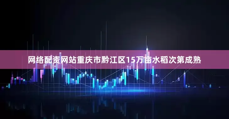 网络配资网站重庆市黔江区15万亩水稻次第成熟
